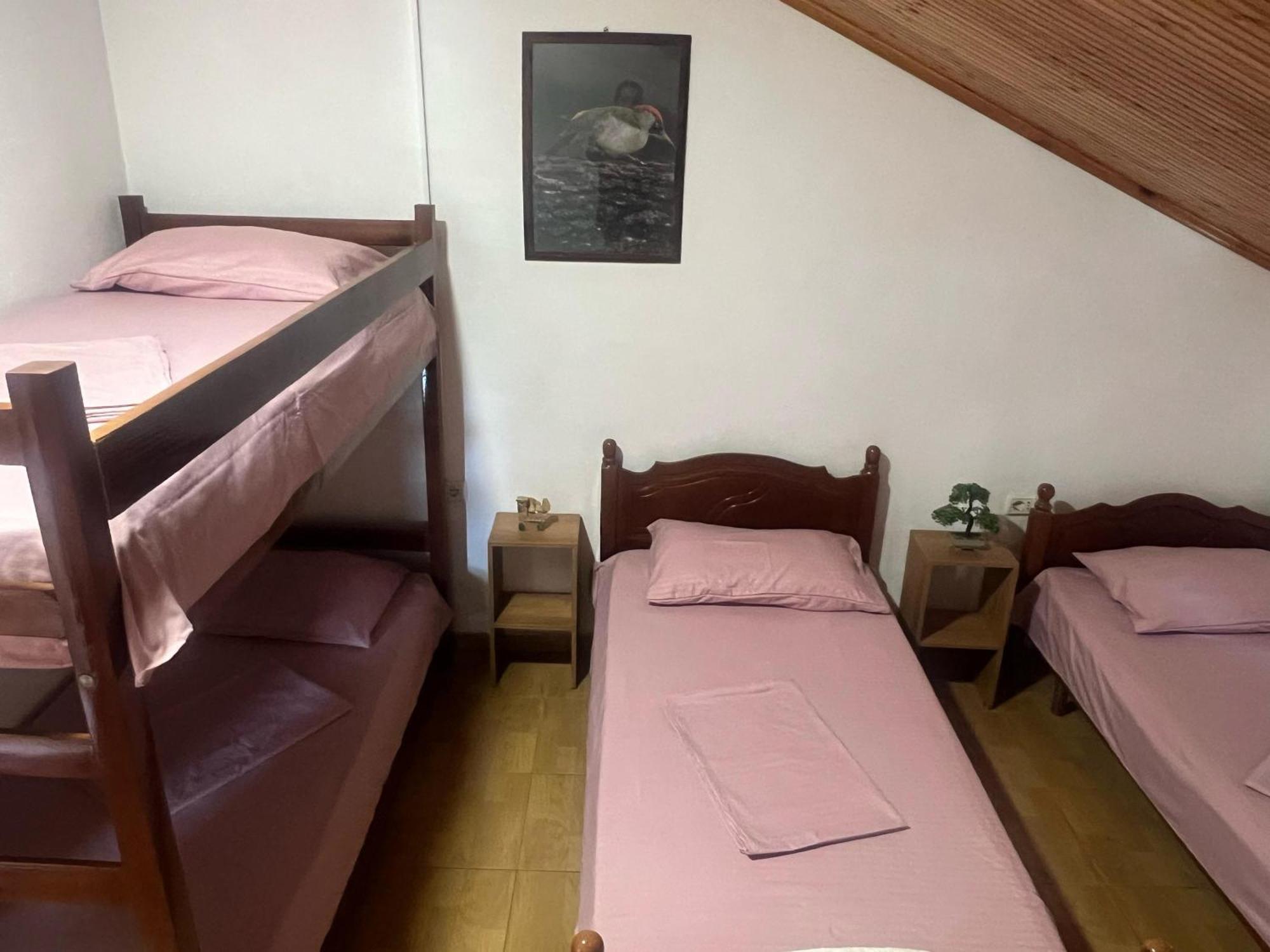 Happy Corner Guest House Shkodra Kültér fotó