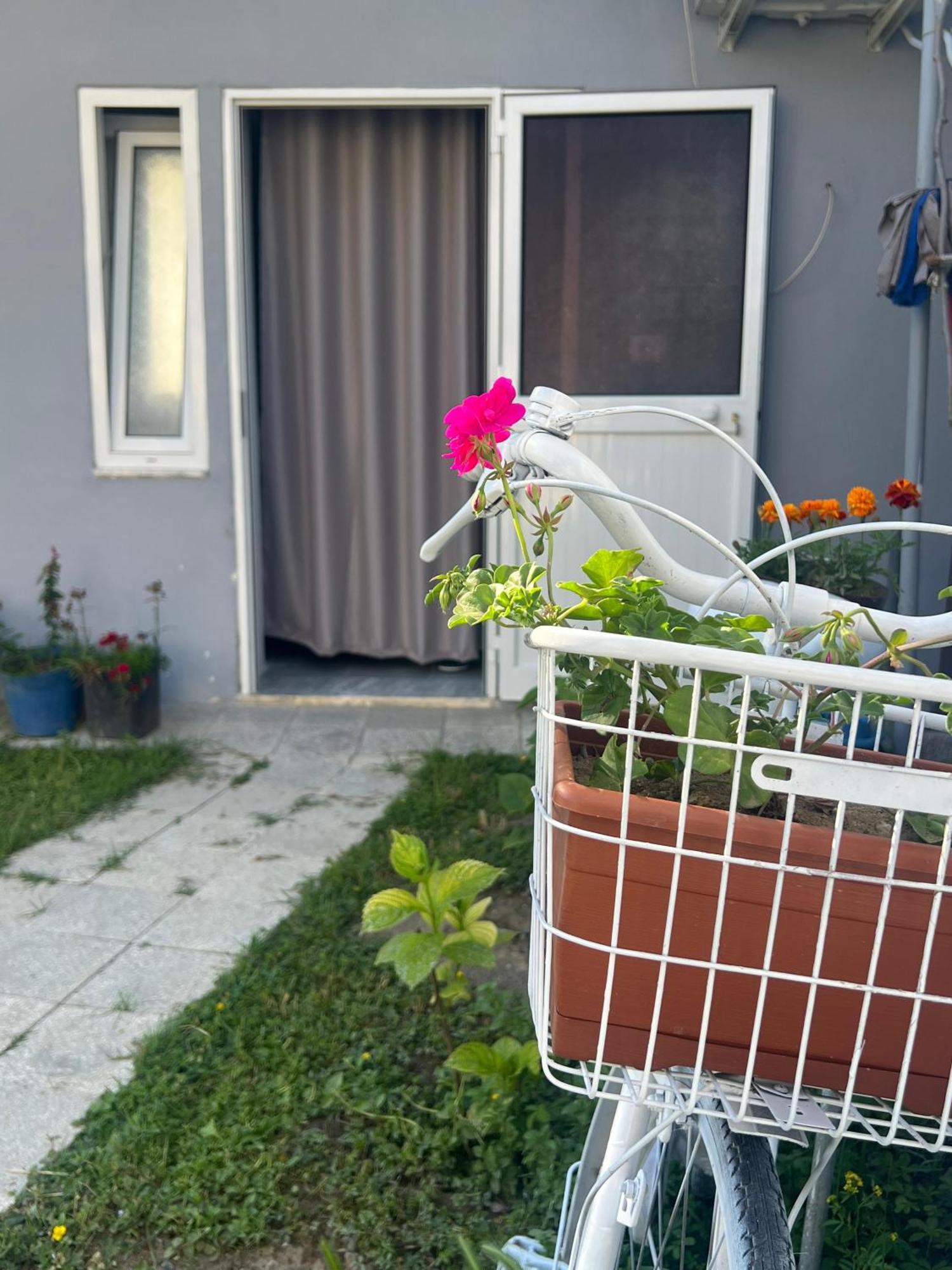 Happy Corner Guest House Shkodra Kültér fotó